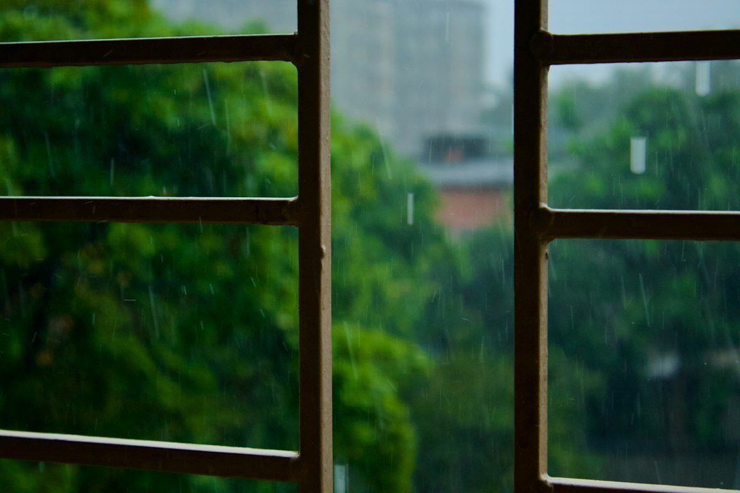 rainy evening window view