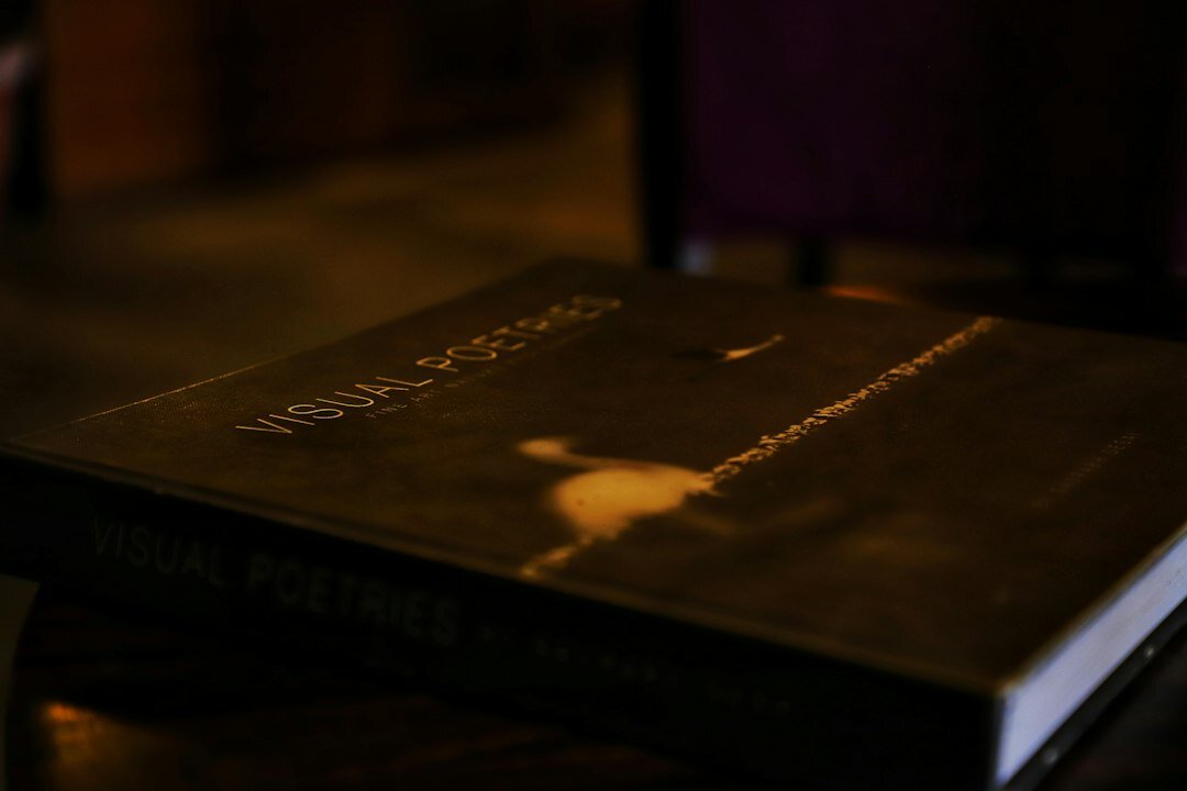 dark mystery book cover
